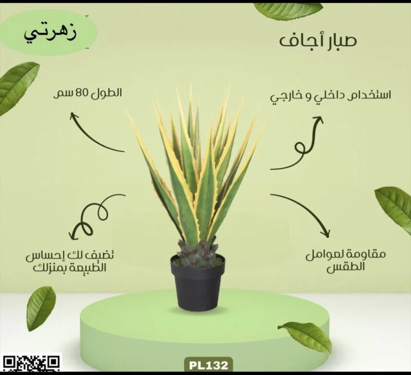 صبار