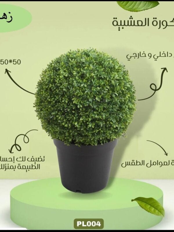 نبتة الكورة المشبية