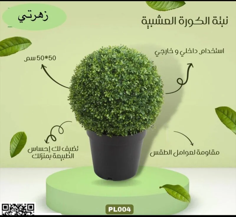 نبتة الكورة المشبية