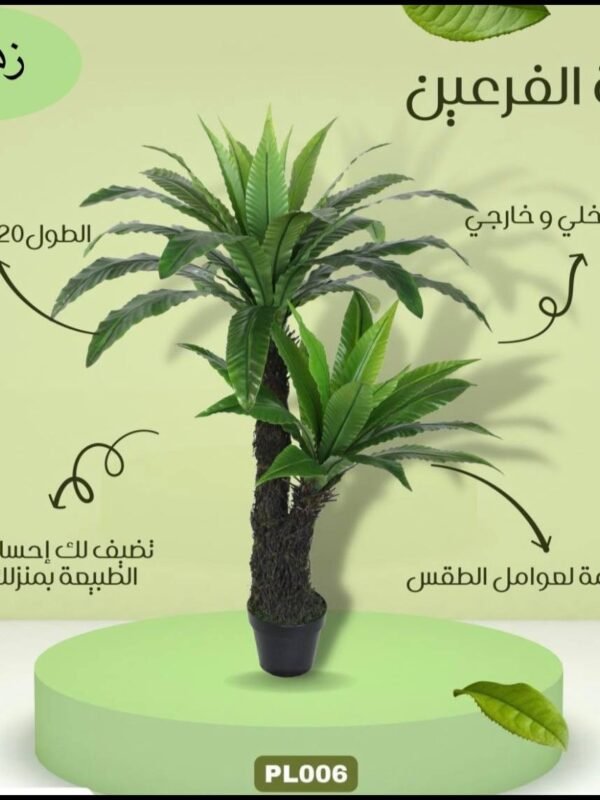 نخلة الفرعين