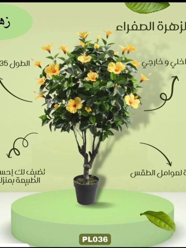 شجرة الزهرة الصفراء