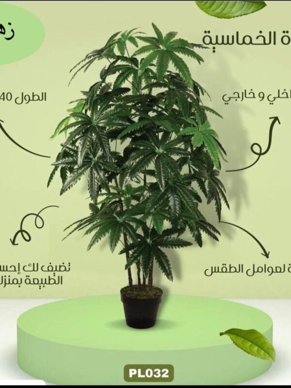 شجرة الخماسية