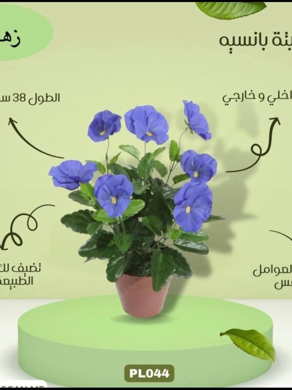 نبتة بانسيه