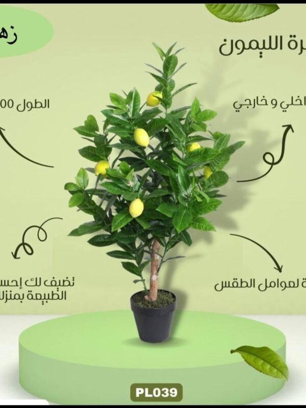 شجرة الليمون