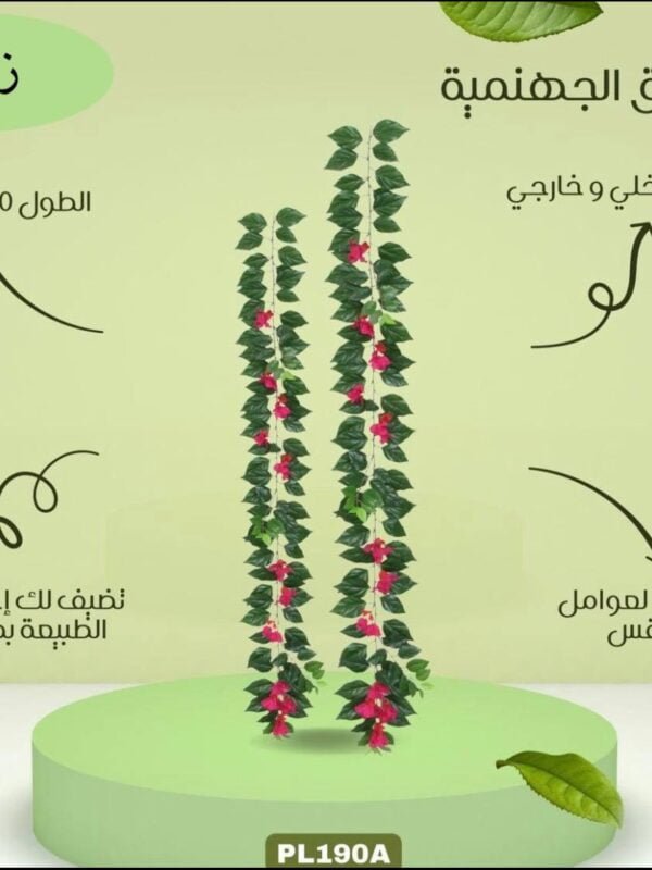 حبل ورق الجهنمية