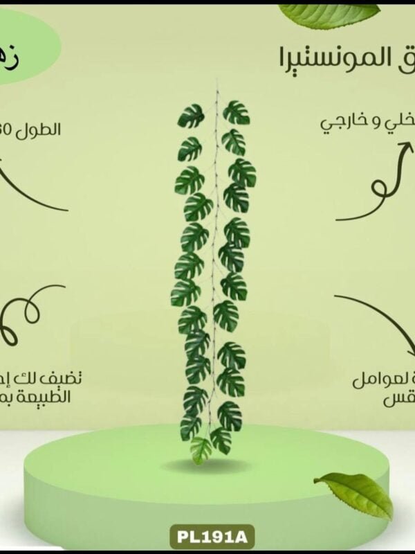 حبل ورق المونستيرا