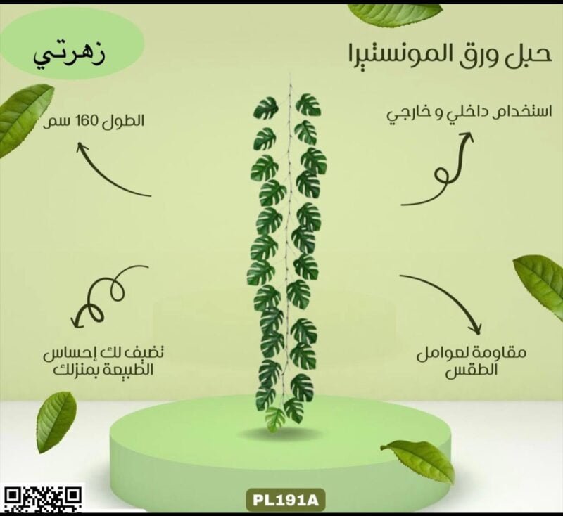 حبل ورق المونستيرا