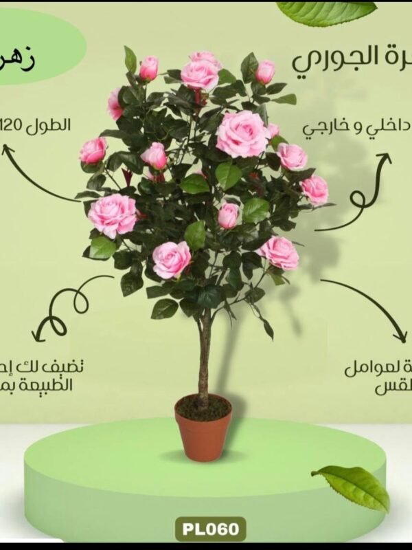 شجرة الجوري