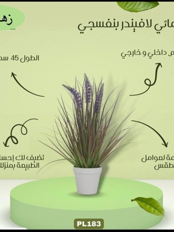 نبات مائي لافيندر بنفسجي