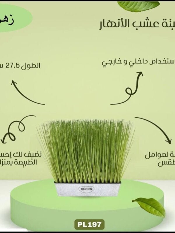 نبتة عشب الانهار