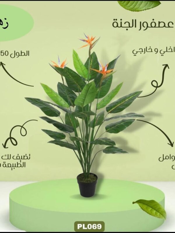 شجرة عصفور الجنة