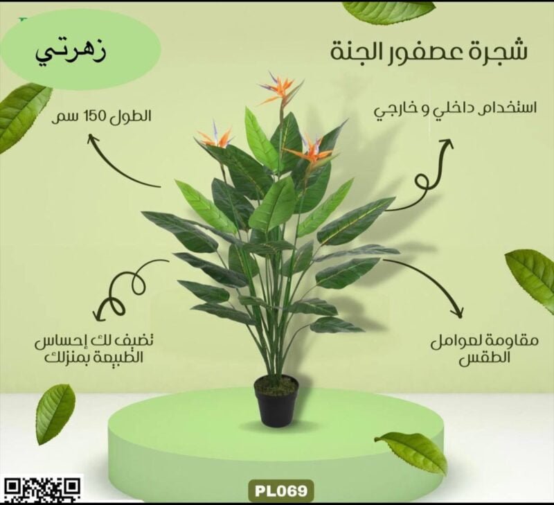 شجرة عصفور الجنة