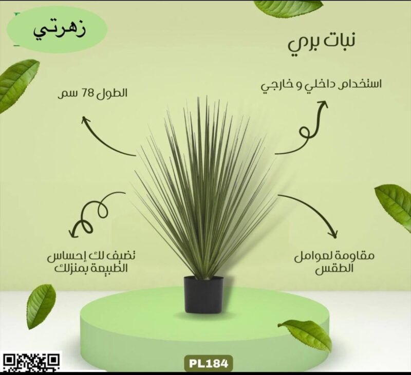 نبات بري
