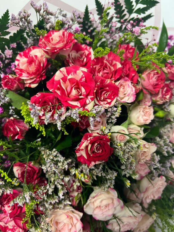 بيبي روز احمر وزهري